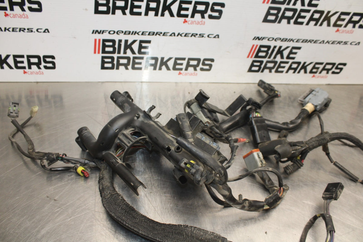 08 HARLEY-DAVIDSON SPORTSTER 1200 MAIN ENGINE WIRING HARNESS WIRE LOOM BB794