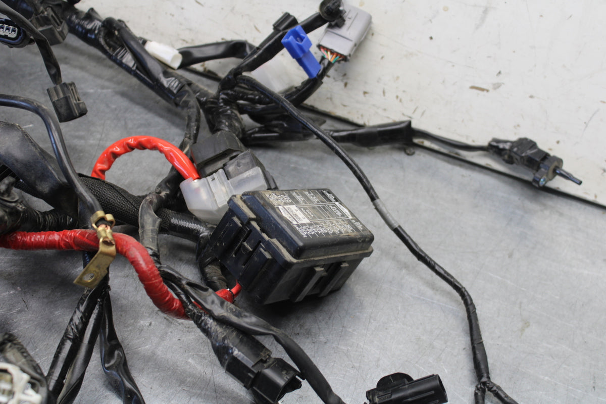 22-24 YAMAHA XSR900 MAIN ENGINE WIRING HARNESS MOTOR WIRE LOOM   BB683