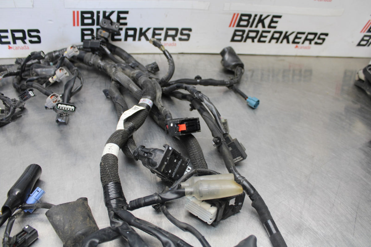 23-26 KAWASAKI NINJA ZX4RR MAIN ENGINE WIRING HARNESS MOTOR WIRE LOOM BB898