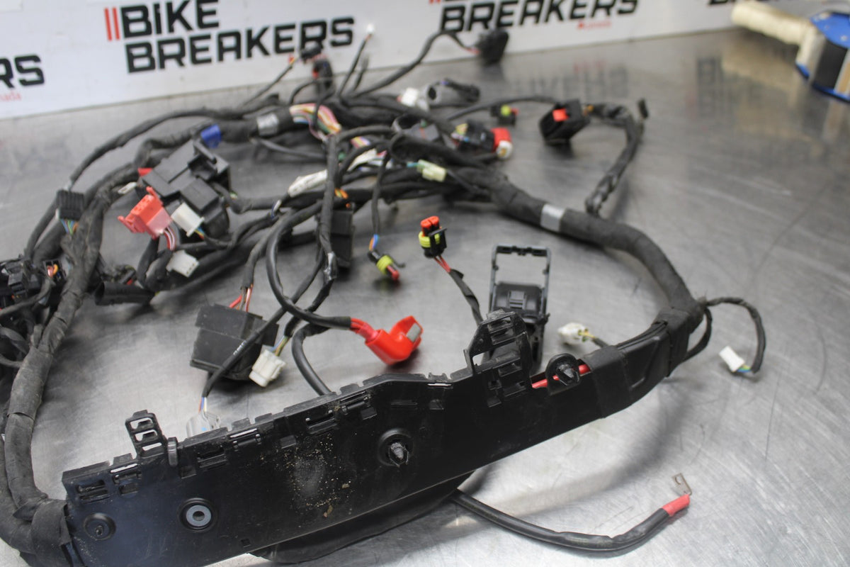24 APRILIA TUONO V4 1100 FACTORY ABS MAIN ENGINE WIRING HARNESS WIRE LOOM BB887