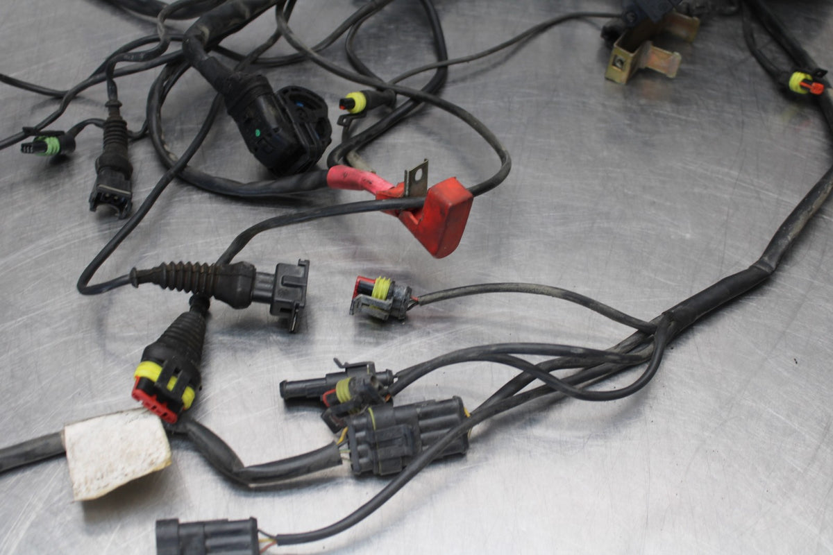 05 DUCATI SUPERSPORT 800 MAIN ENGINE WIRING HARNESS MOTOR WIRE LOOM BB913