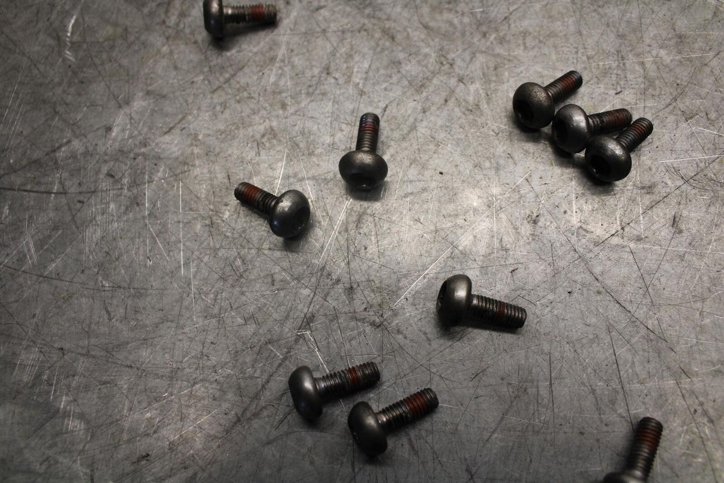 1999 Honda Super Hawk 1000 VTR1000F FRONT  ROTOR BOLTS DISC HARDWARE SCREW BB51