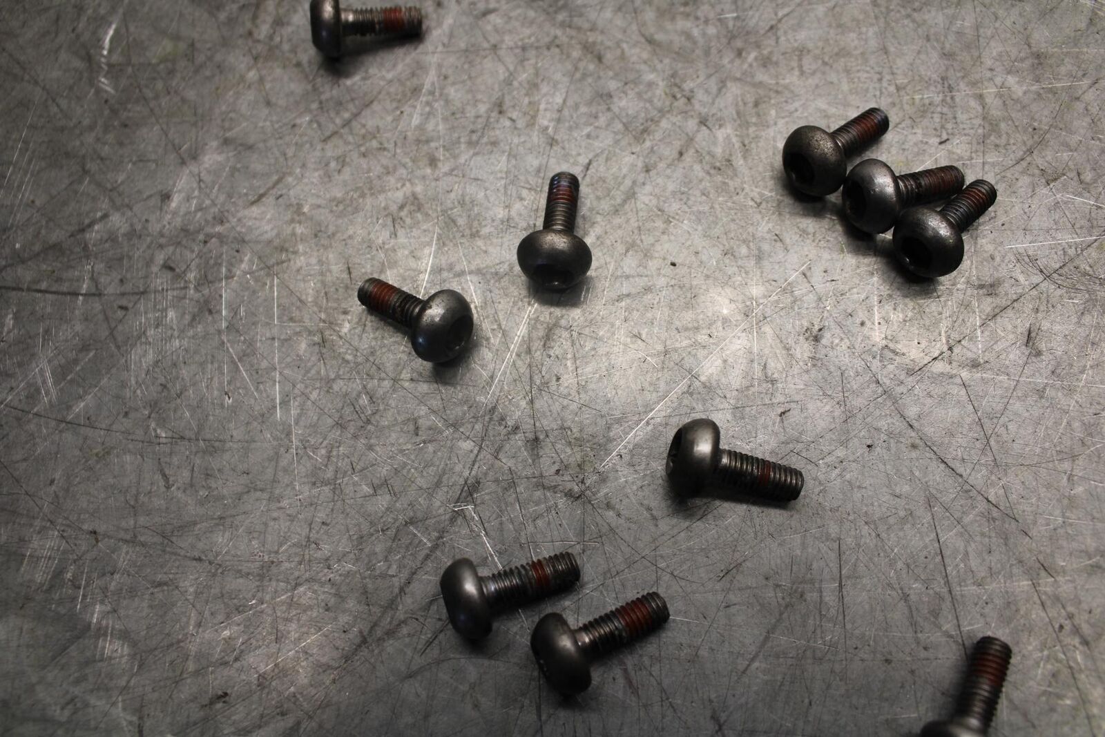 1999 Honda Super Hawk 1000 VTR1000F FRONT  ROTOR BOLTS DISC HARDWARE SCREW BB51