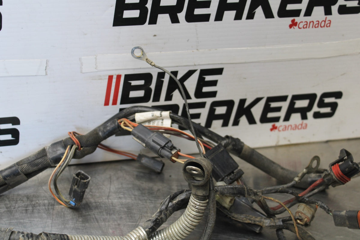 04 BUELL FIREBOLT XB12R ENGINE WIRING HARNESS MOTOR WIRE LOOM BB903