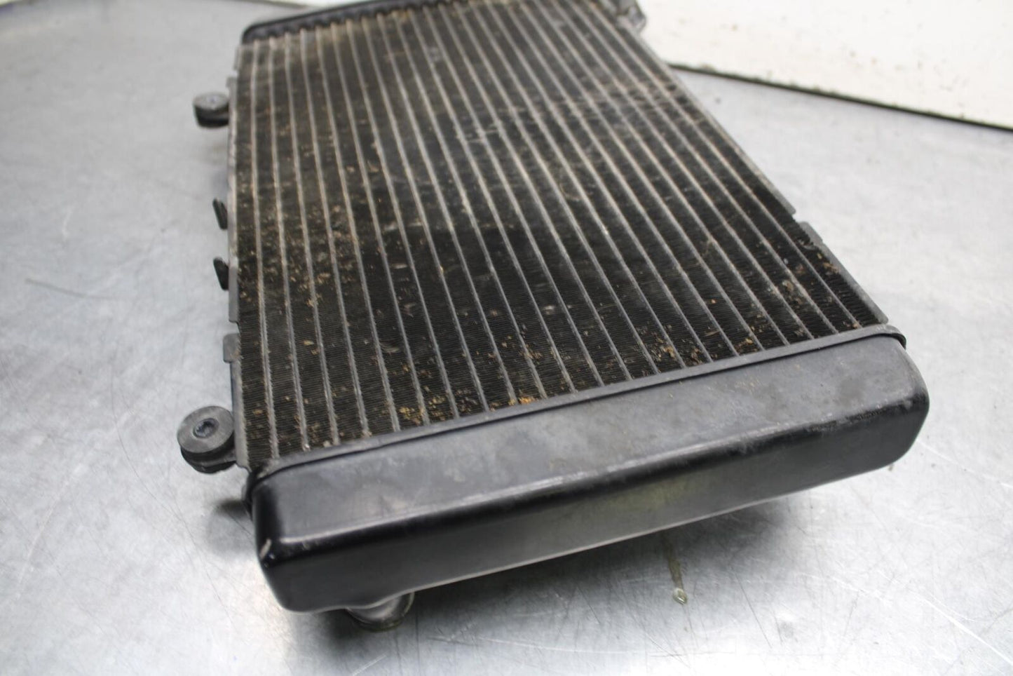 2008 Honda CBF1000 ENGINE RADIATOR MOTOR COOLER COOLING RADIATER BB641