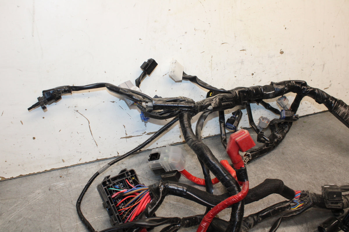 22-24 YAMAHA XSR900 MAIN ENGINE WIRING HARNESS MOTOR WIRE LOOM   BB683