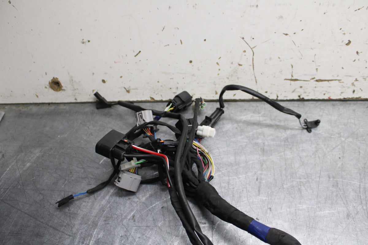 21-24 APRILIA TUONO 660 FACTORY MAIN ENGINE WIRING HARNESS MOTOR WIRE LOOM BB733