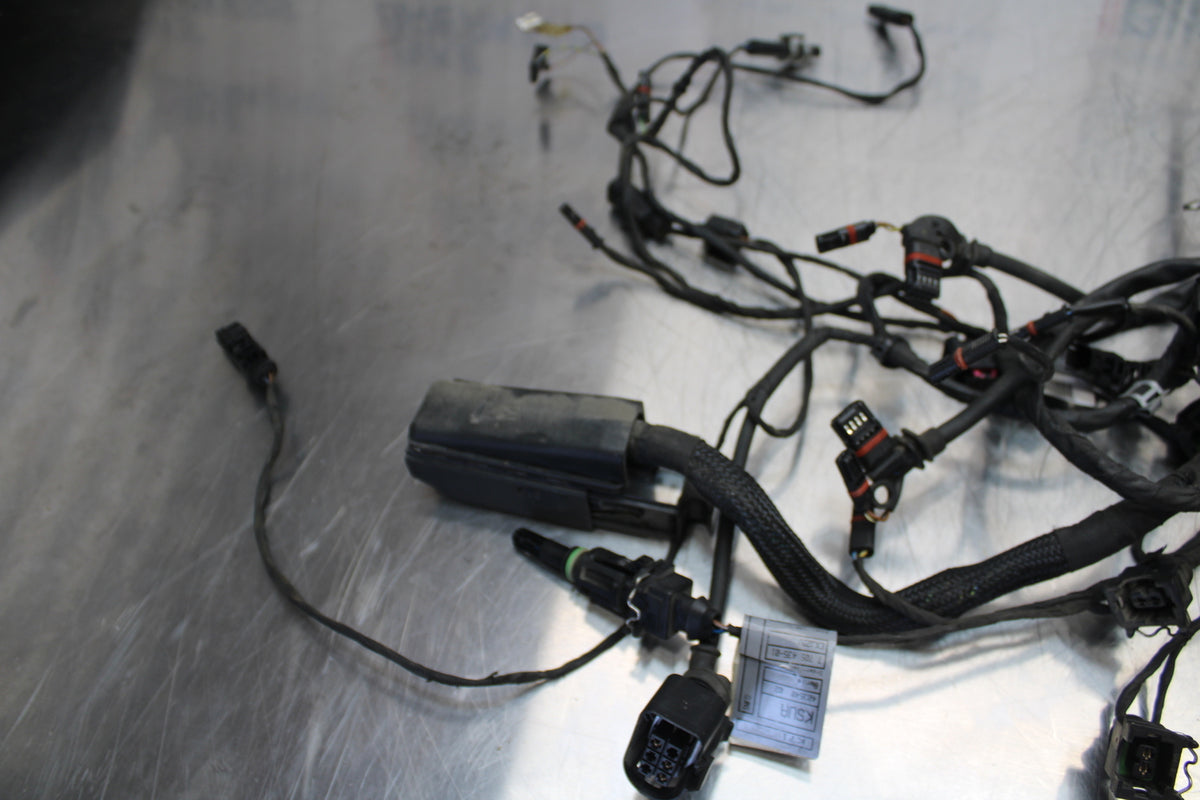 06-12 BMW F800ST MAIN ENGINE WIRING HARNESS MOTOR WIRE LOOM BB144