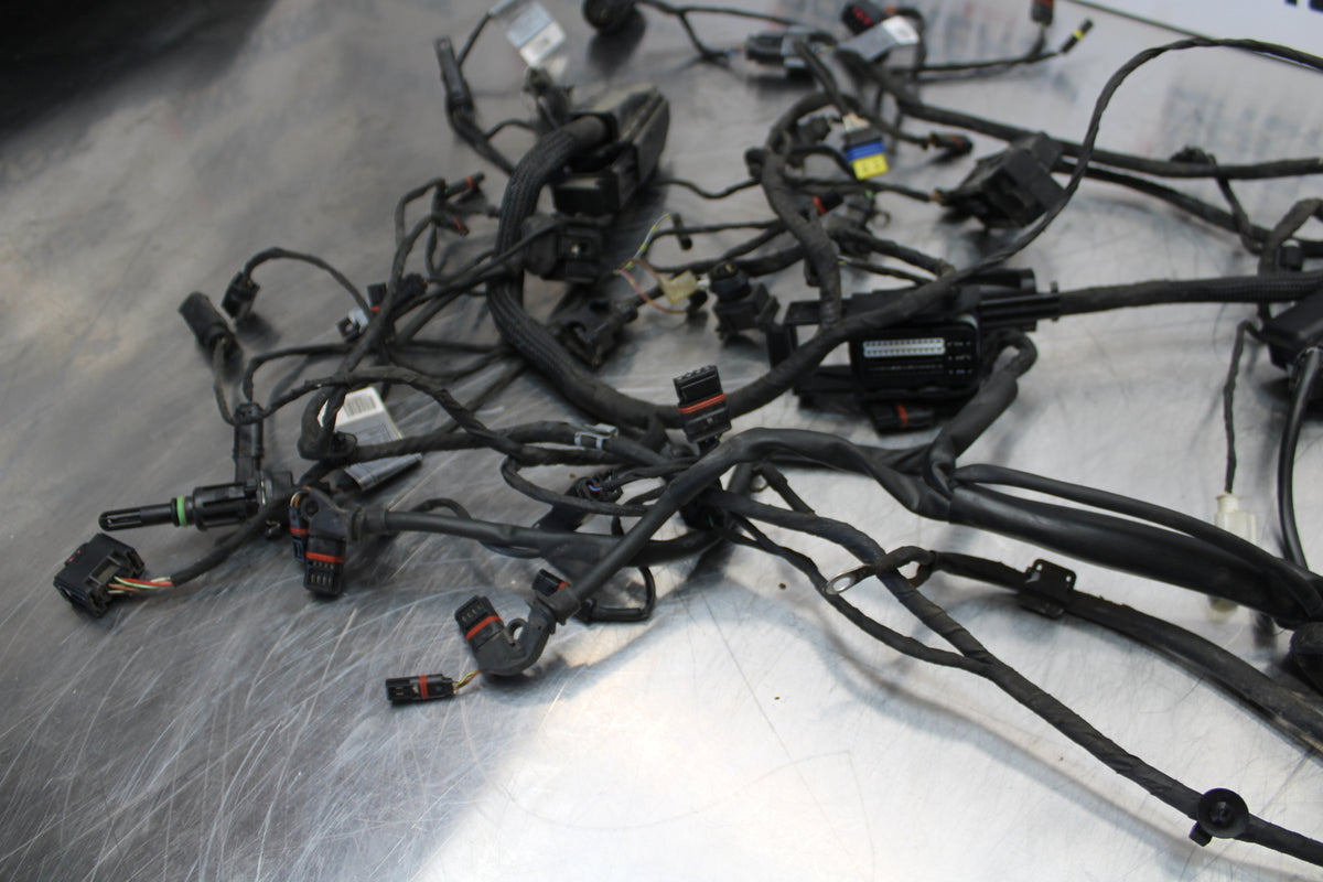 06-12 BMW F800ST MAIN ENGINE WIRING HARNESS MOTOR WIRE LOOM BB144