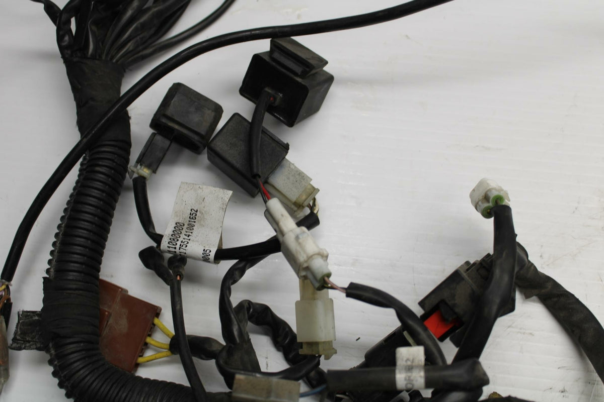 18-20 HUSQVARNA VITPILEN 401 MAIN ENGINE WIRING HARNESS MOTOR WIRE LOOM BB248