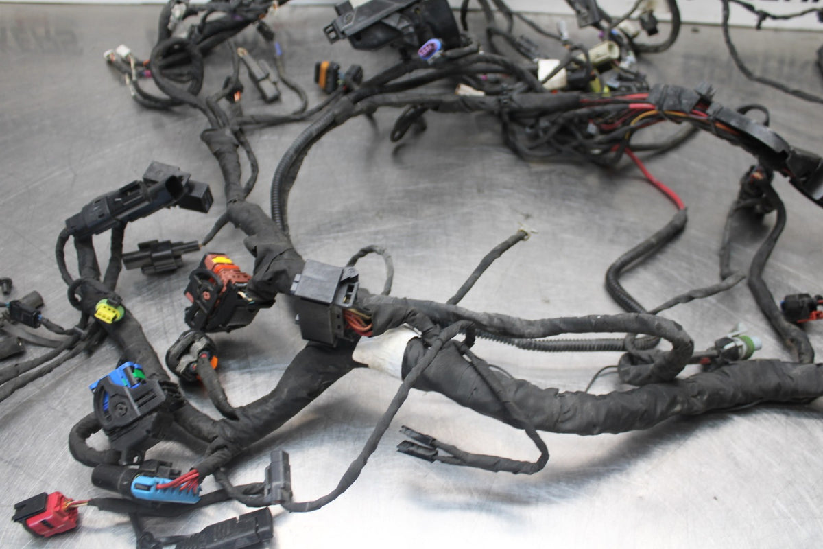 22 HARLEY-DAVIDSON PAN AMERICA 1250 MAIN WIRING HARNESS & MOTOR WIRE LOOM BB910