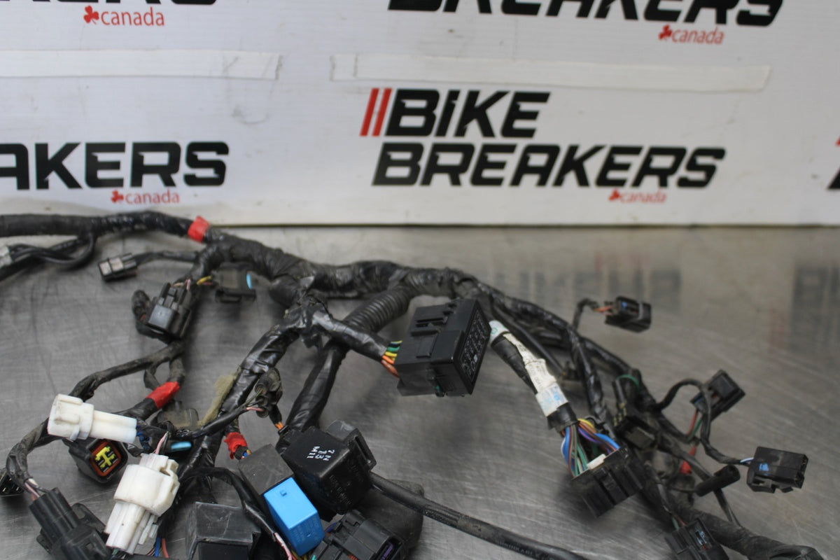 12 TRIUMPH STREET TRIPLE R MAIN ENGINE WIRING HARNESS MOTOR WIRE LOOM BB914