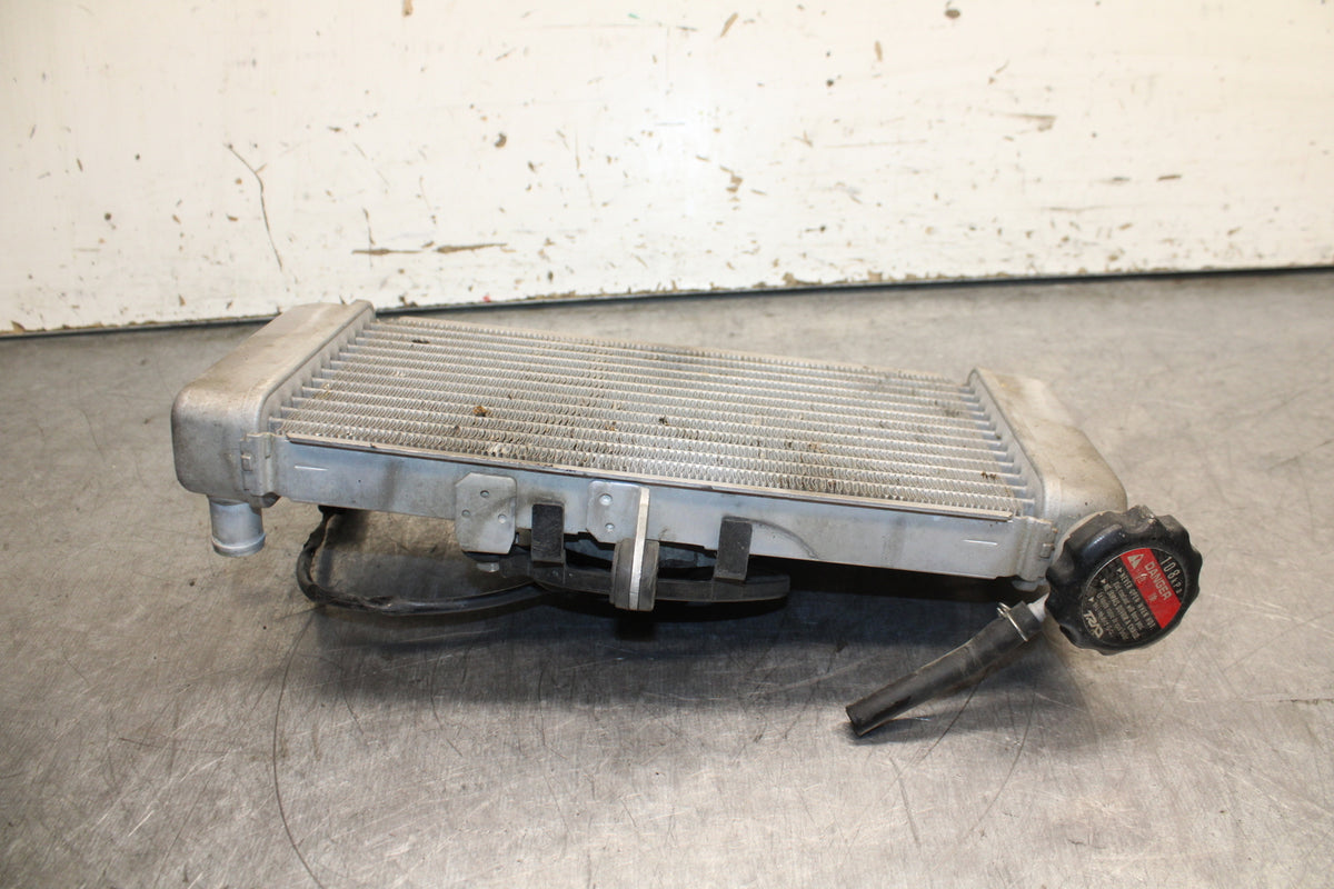 15-16 HONDA CB300F ENGINE RADIATOR MOTOR COOLER COOLING RADIATER BB740