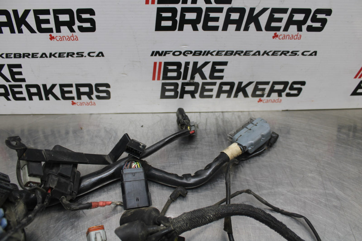 08 HARLEY-DAVIDSON SPORTSTER 1200 MAIN ENGINE WIRING HARNESS WIRE LOOM BB794