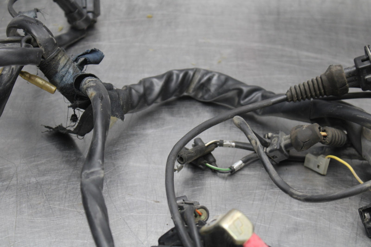 02 DUCATI MONSTER 620 MAIN ENGINE WIRING HARNESS MOTOR WIRE LOOM BB851