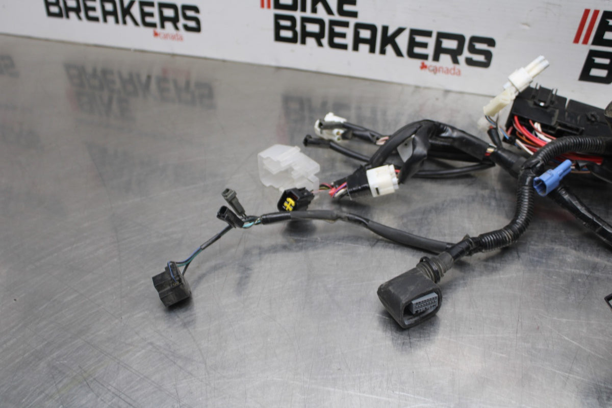 17-24 SUZUKI SV650 MAIN ENGINE WIRING HARNESS MOTOR WIRE LOOM BB829