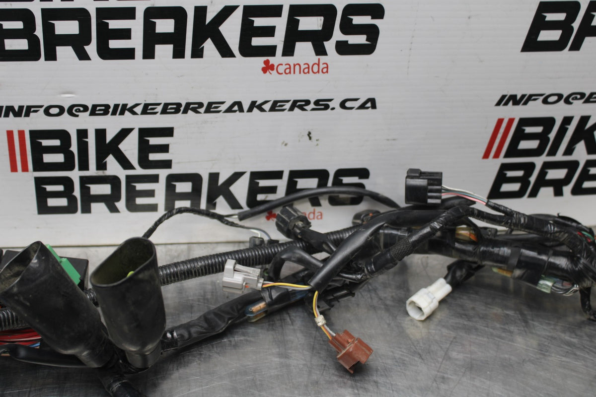 17-24 SUZUKI SV650 MAIN ENGINE WIRING HARNESS MOTOR WIRE LOOM BB829