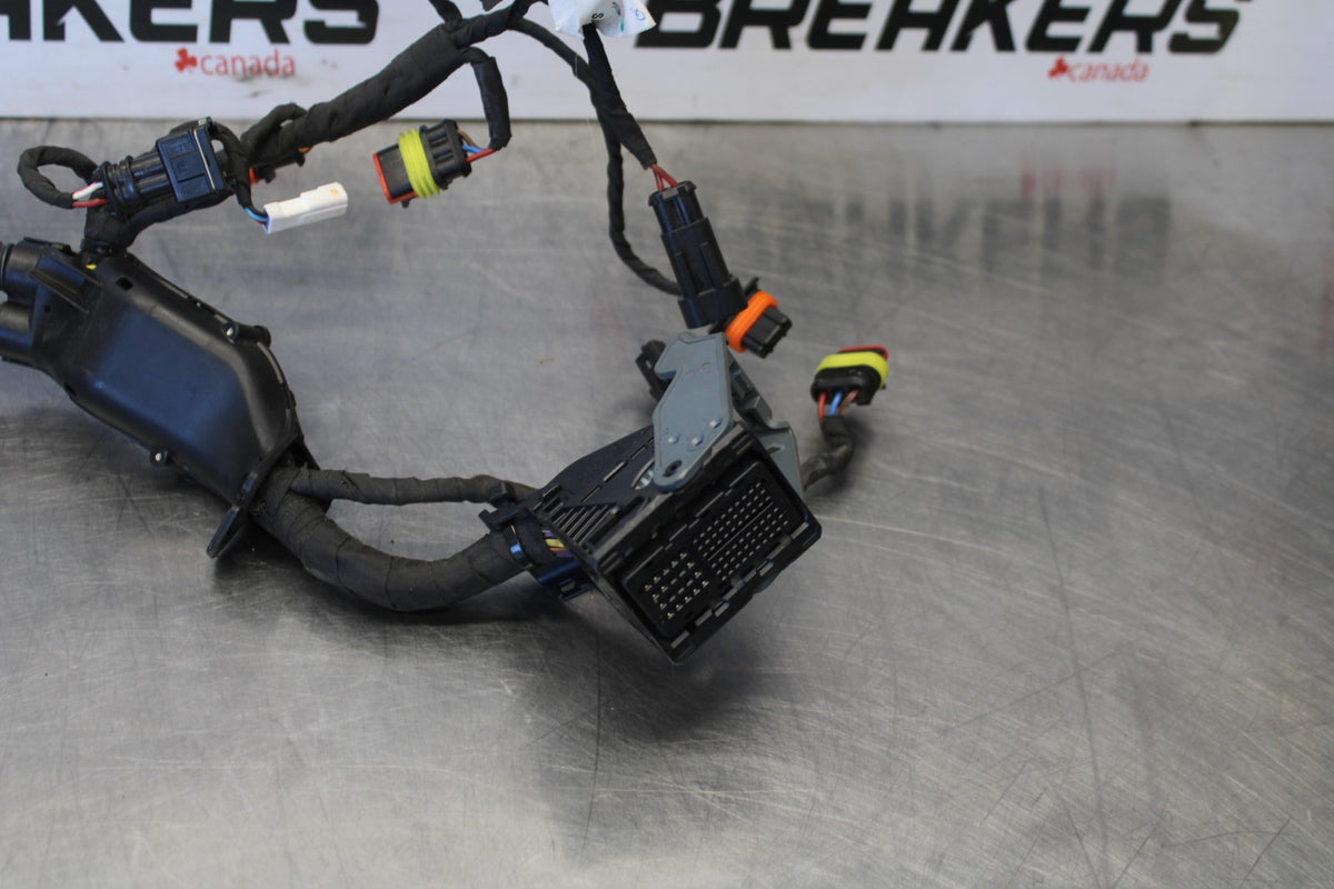 24 APRILIA TUONO V4 1100 FACTORY ABS SUB WIRING HARNESS SUB WIRE LOOM BB887