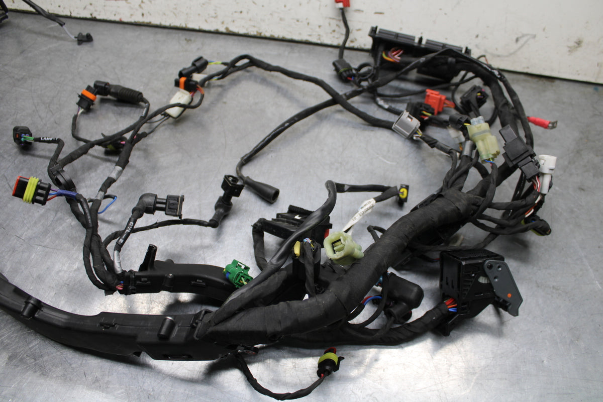21-24 APRILIA TUONO 660 FACTORY MAIN ENGINE WIRING HARNESS MOTOR WIRE LOOM BB733