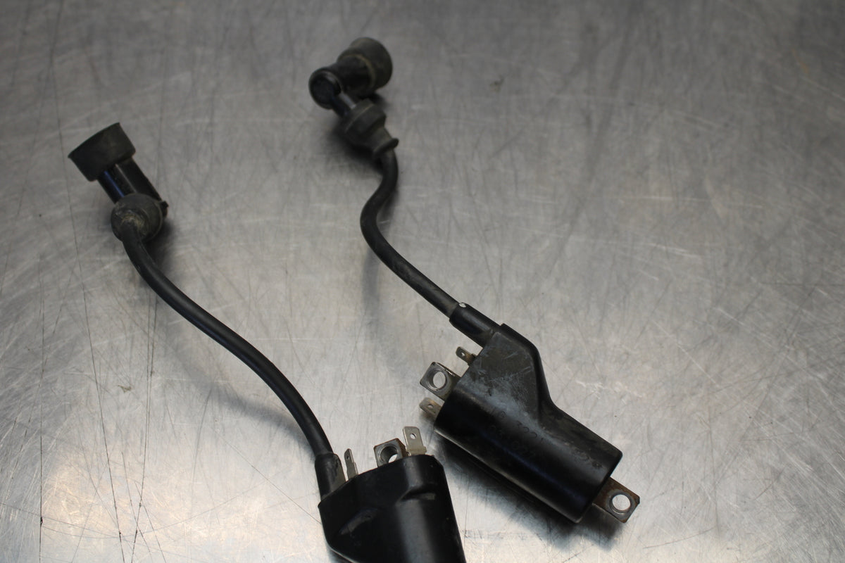 04-09 SUZUKI GS500F IGNITION COILS COIL SPARK PLUG CAPS BB165