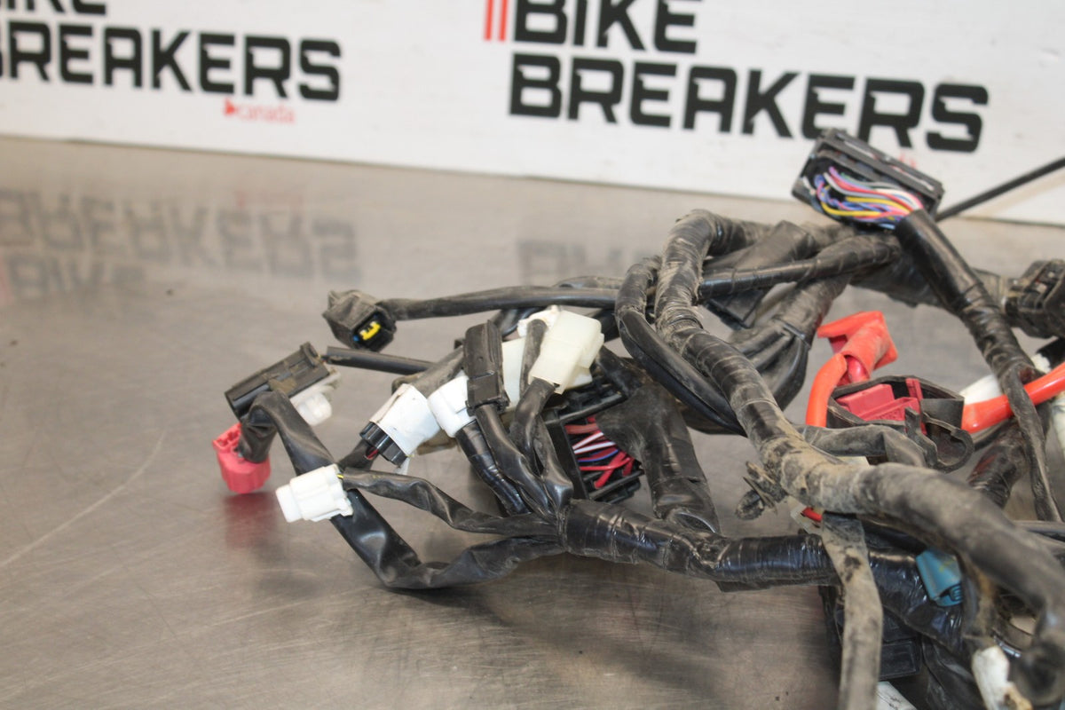 19-24 YAMAHA R3 MAIN ENGINE WIRING HARNESS MOTOR WIRE LOOM BB942