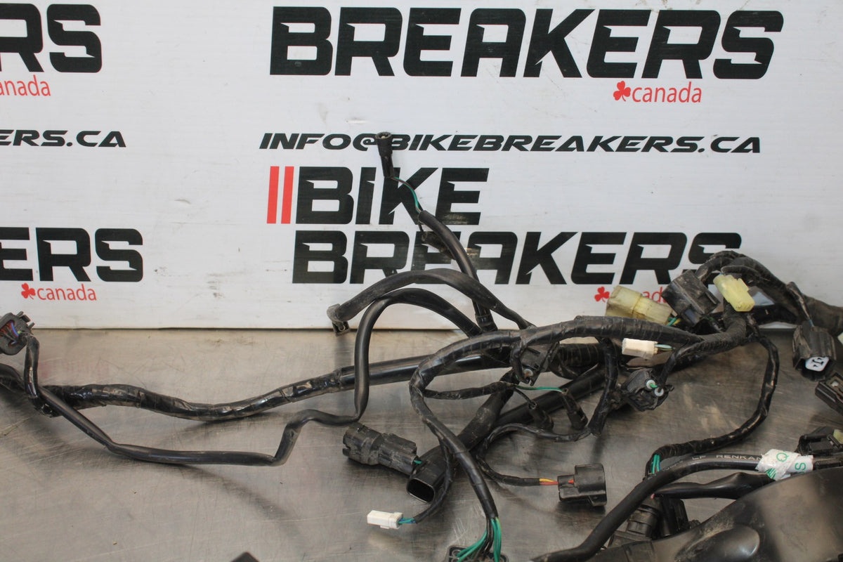 20 TRIUMPH STREET TRIPLE 765 MAIN ENGINE WIRING HARNESS MOTOR WIRE LOOM BB864