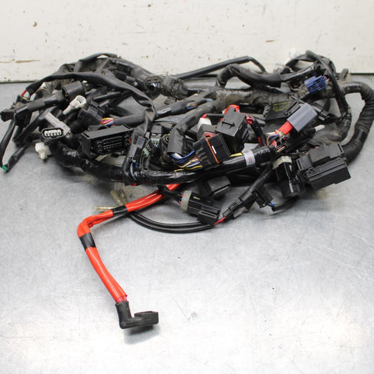 16-21 YAMAHA XSR900 MAIN ENGINE WIRING HARNESS MOTOR WIRE LOOM BB648