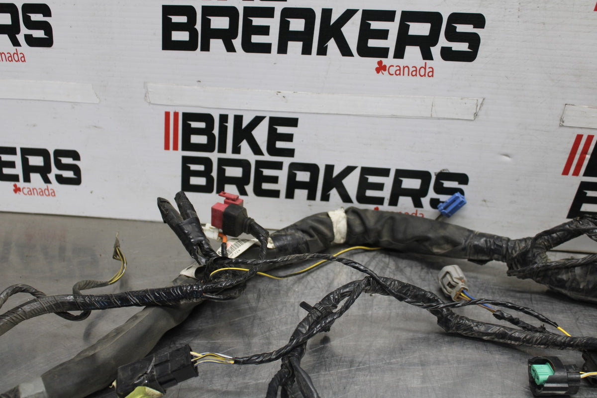 08-09 KAWASAKI NINJA ZX14R MAIN ENGINE WIRING HARNESS MOTOR WIRE LOOM BB932