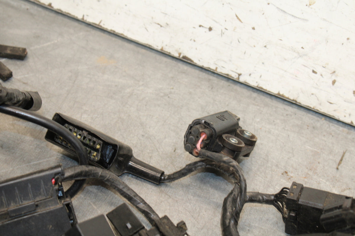 14-15 TRIUMPH STREET TRIPLE R MAIN ENGINE WIRING HARNESS MOTOR WIRE LOOM BB441
