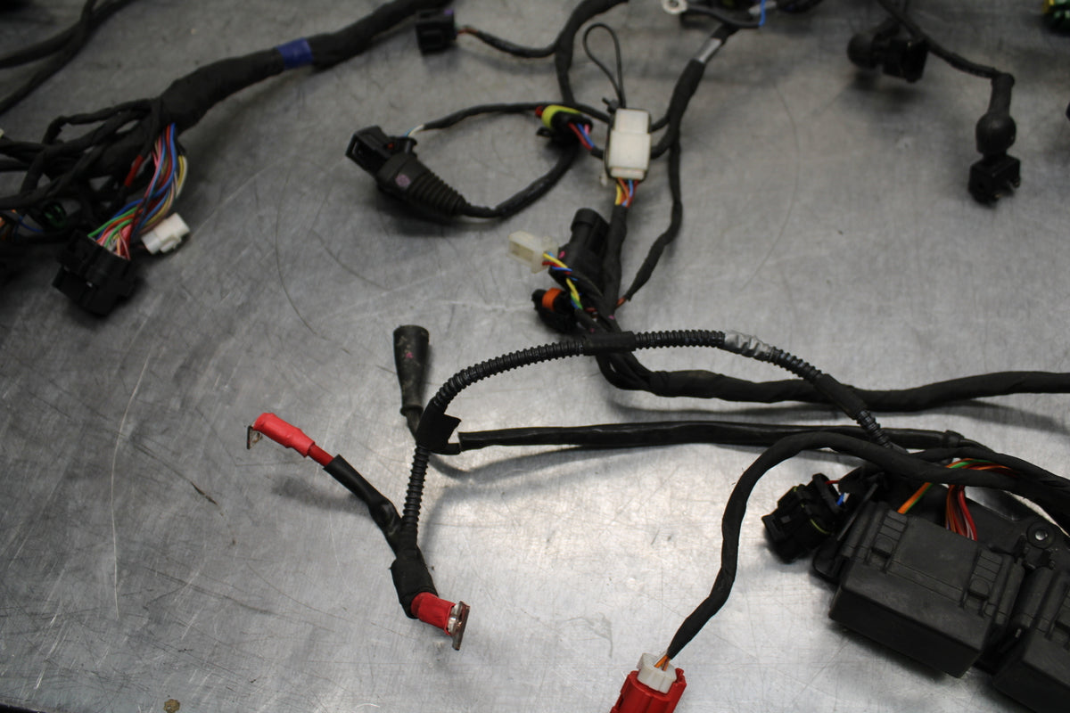 21-24 APRILIA TUONO 660 FACTORY MAIN ENGINE WIRING HARNESS MOTOR WIRE LOOM BB733