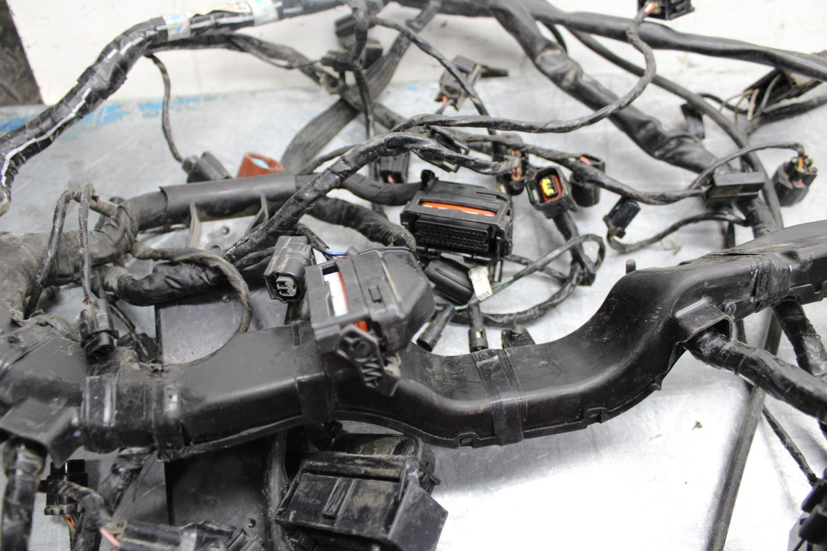 17-21 TRIUMPH STREET TRIPPLE R ABS MAIN  WIRING HARNESS MOTOR WIRE LOOM bb452