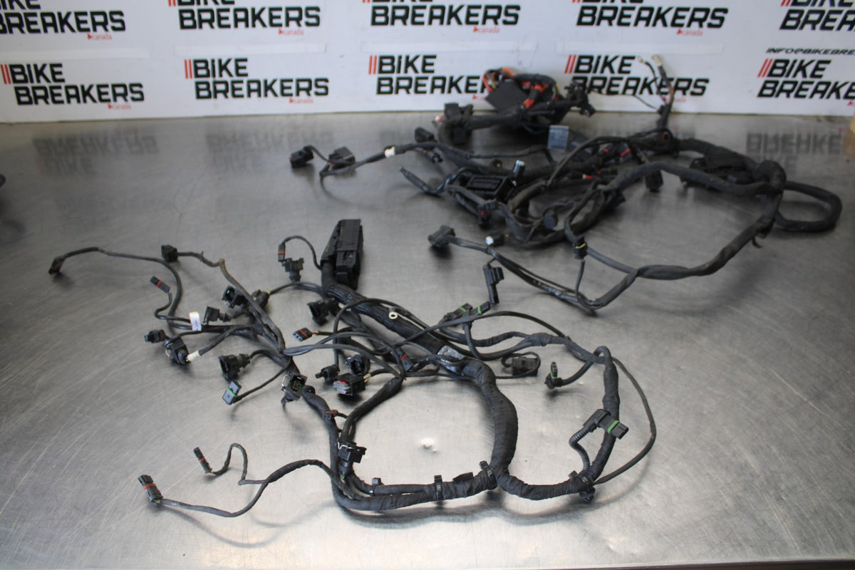 17-20 BMW S1000R FULL ENGINE WIRING HARNESS MOTOR WIRE LOOM BB909