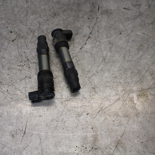 13-17 KAWASAKI NINJA 300 IGNITION COILS COIL SPARK PLUG CAPS BB429