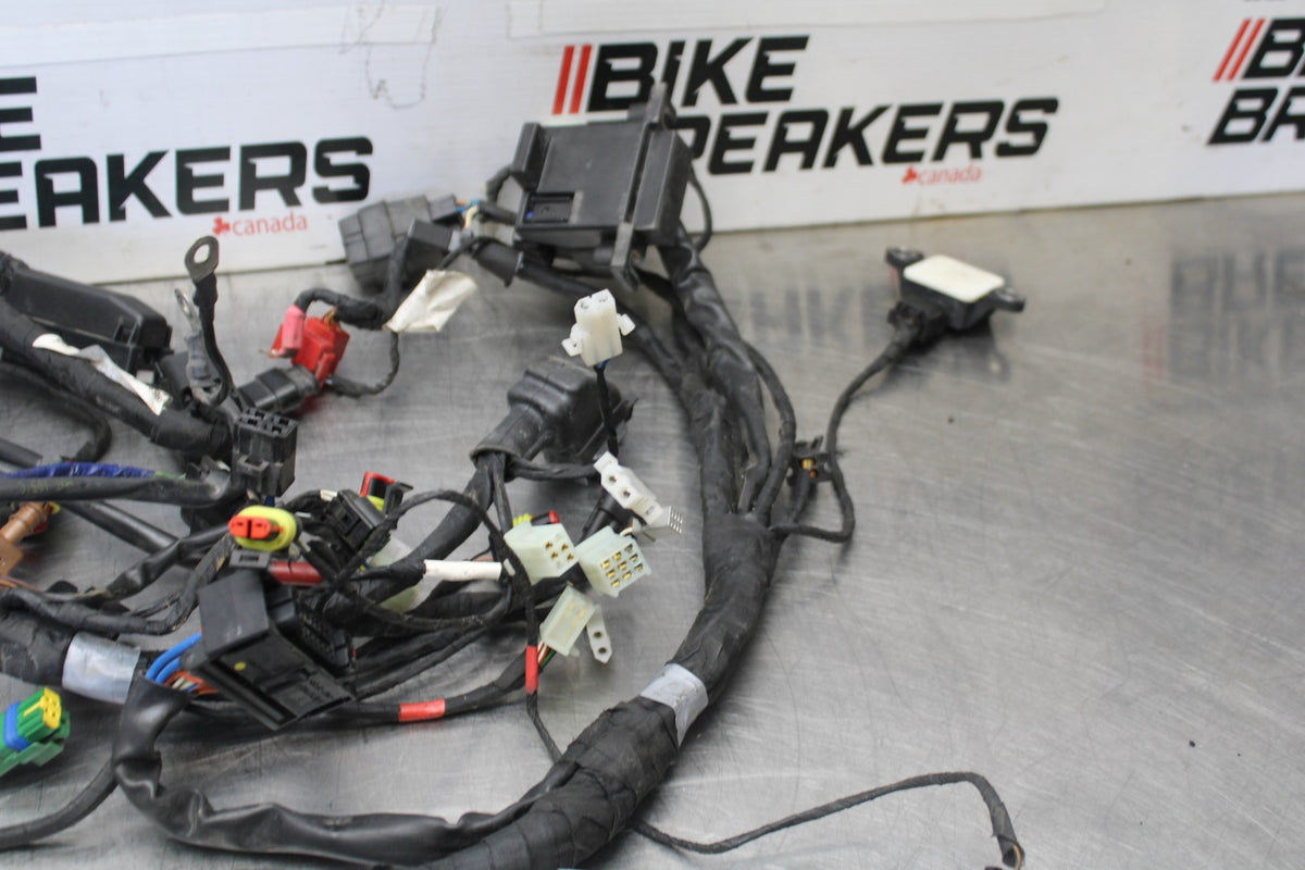 16 APRILIA TUONO V4 1100 ENGINE WIRING HARNESS MOTOR WIRE LOOM BB905