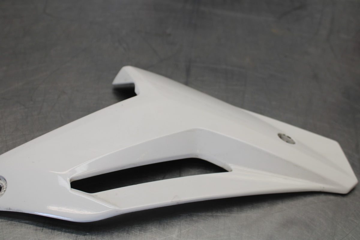 17-20 BMW S1000R LEFT LOWER BOTTOM BELLY SIDE FAIRING COWL BB909
