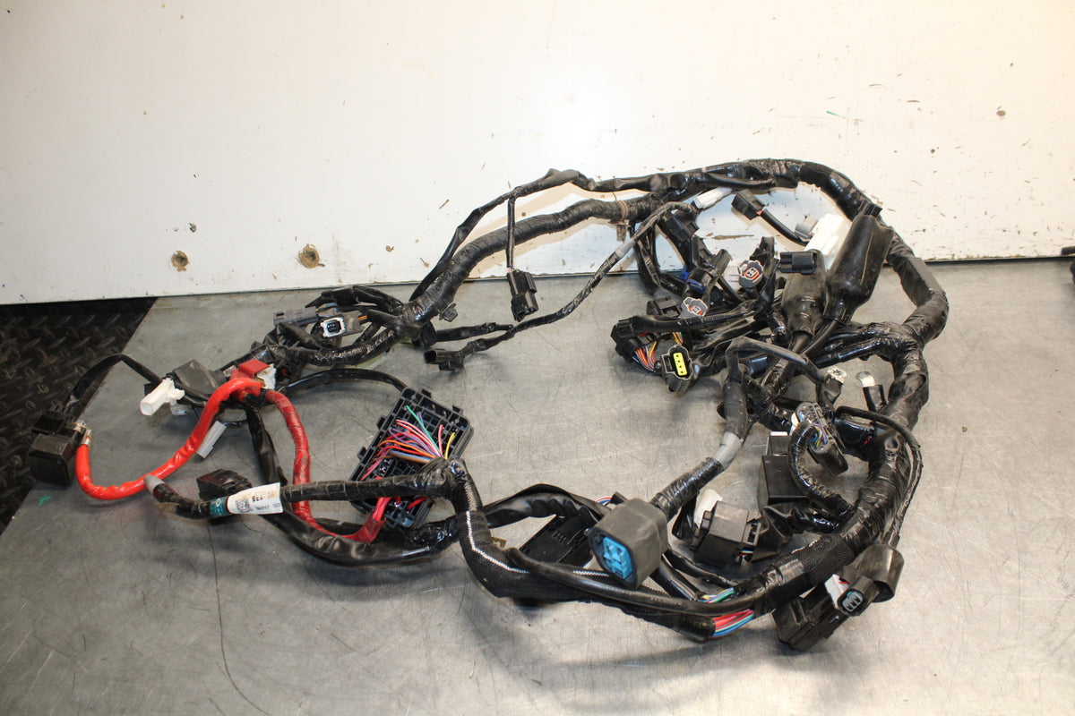 22-24 YAMAHA XSR900 MAIN ENGINE WIRING HARNESS MOTOR WIRE LOOM BB710