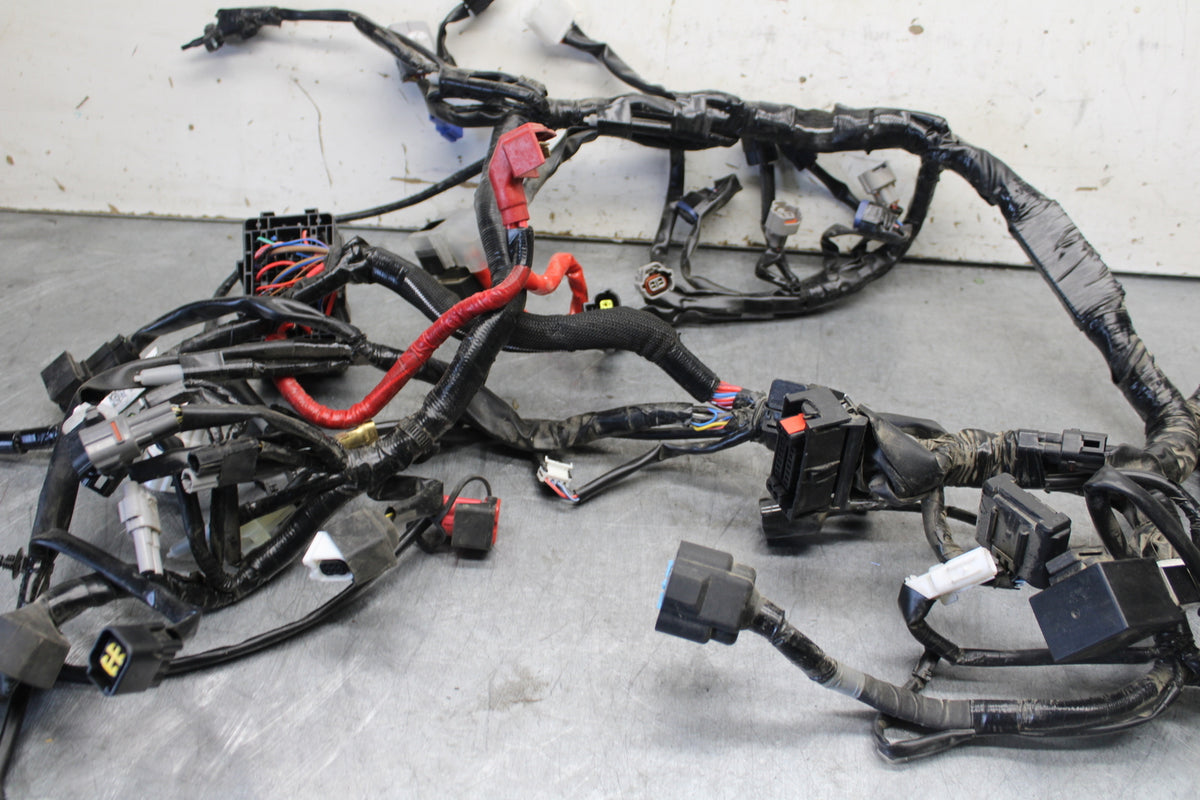 22-24 YAMAHA XSR900 MAIN ENGINE WIRING HARNESS MOTOR WIRE LOOM   BB683