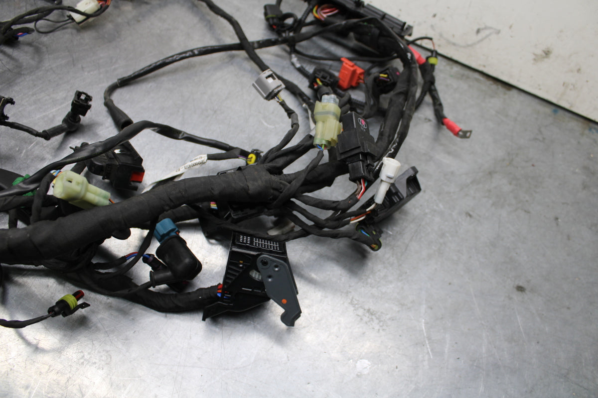 21-24 APRILIA TUONO 660 FACTORY MAIN ENGINE WIRING HARNESS MOTOR WIRE LOOM BB733