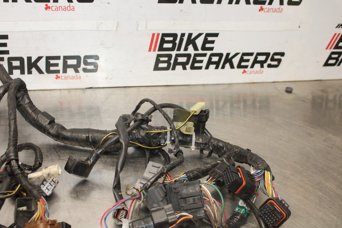 04-05 KAWASAKI NINJA ZX10R MAIN ENGINE WIRING HARNESS MOTOR WIRE LOOM BB931