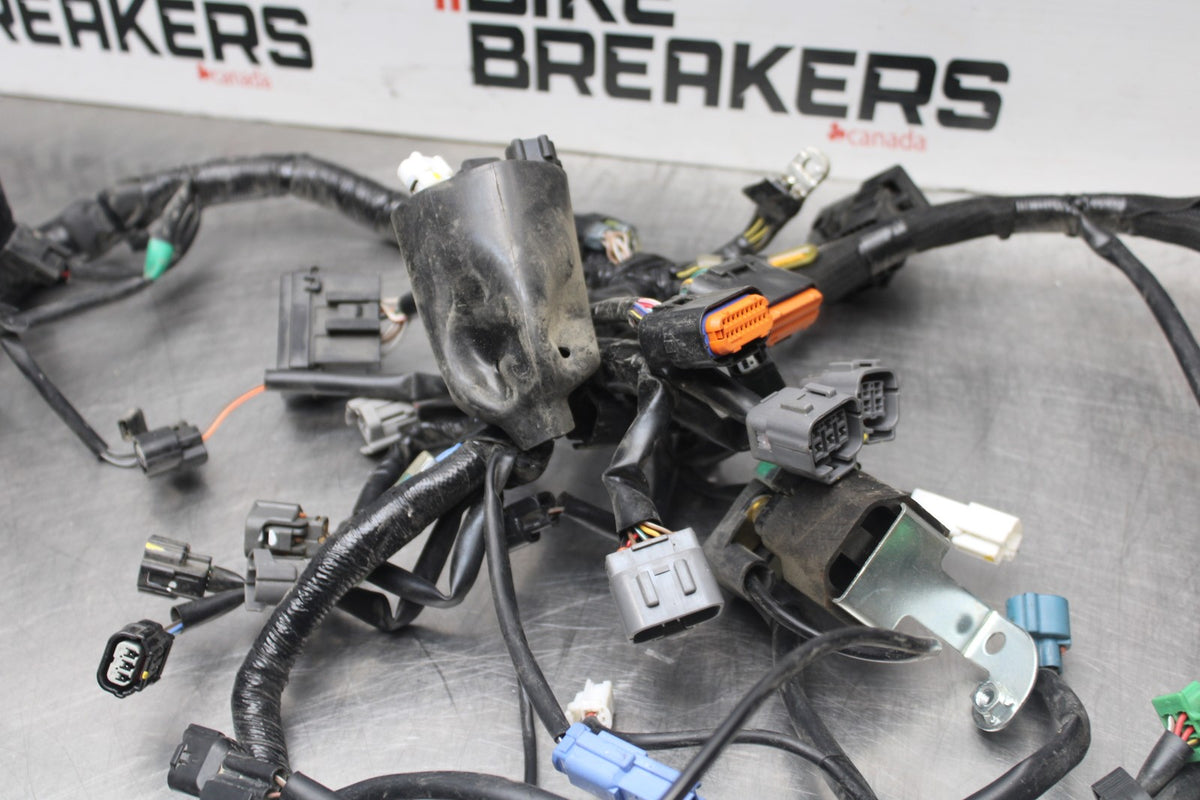 18-26 KAWASAKI Z400 MAIN ENGINE WIRING HARNESS MOTOR WIRE LOOM BB852