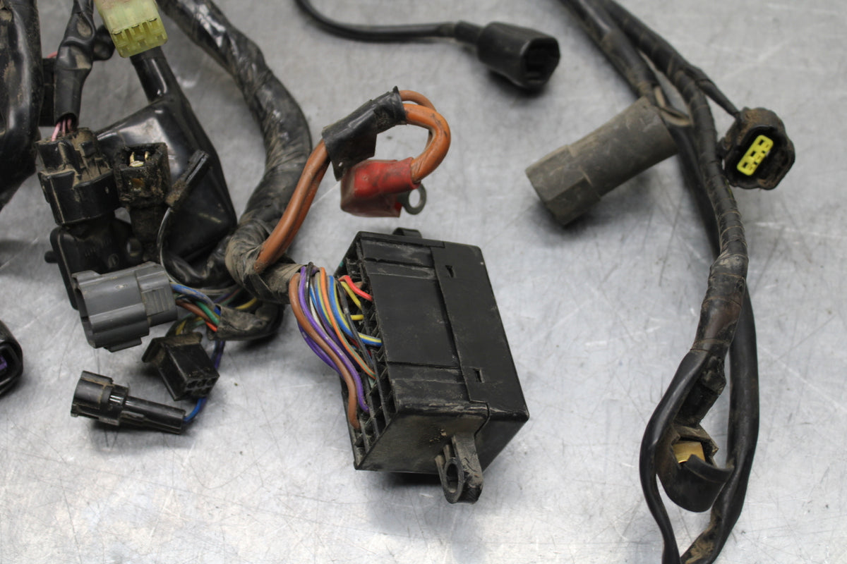 14-16 TRIUMPH AMERICA LT MAIN ENGINE WIRING HARNESS MOTOR WIRE LOOM BB720