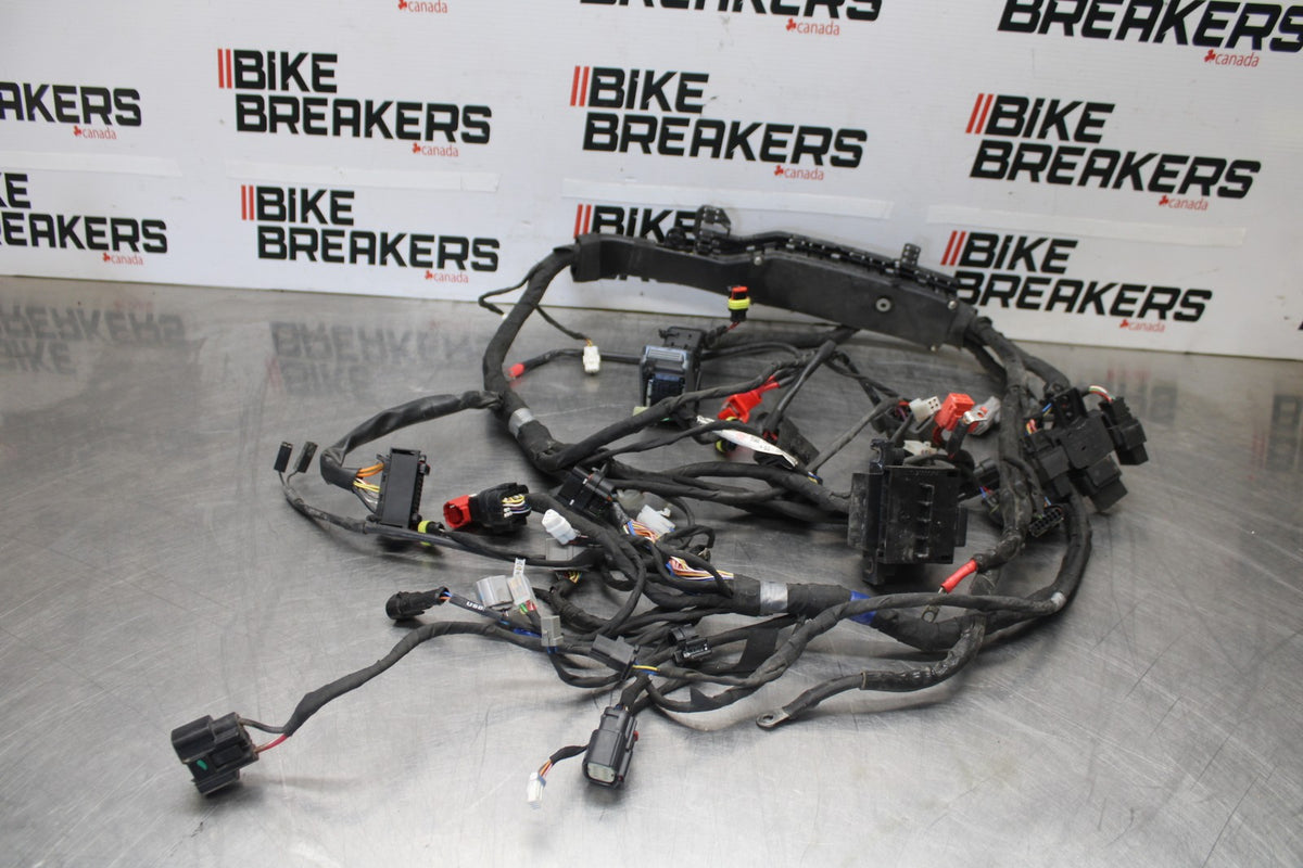 24 APRILIA TUONO V4 1100 FACTORY ABS MAIN ENGINE WIRING HARNESS WIRE LOOM BB887