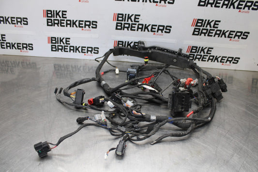24 APRILIA TUONO V4 1100 FACTORY ABS MAIN ENGINE WIRING HARNESS WIRE LOOM BB887