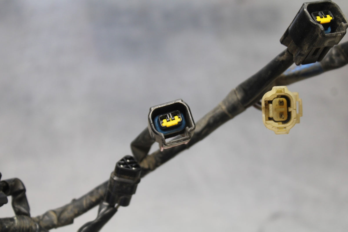 03-04 YAMAHA YZF R6 IGNITION COIL WIRING HARNESS WIRE LOOM BB890
