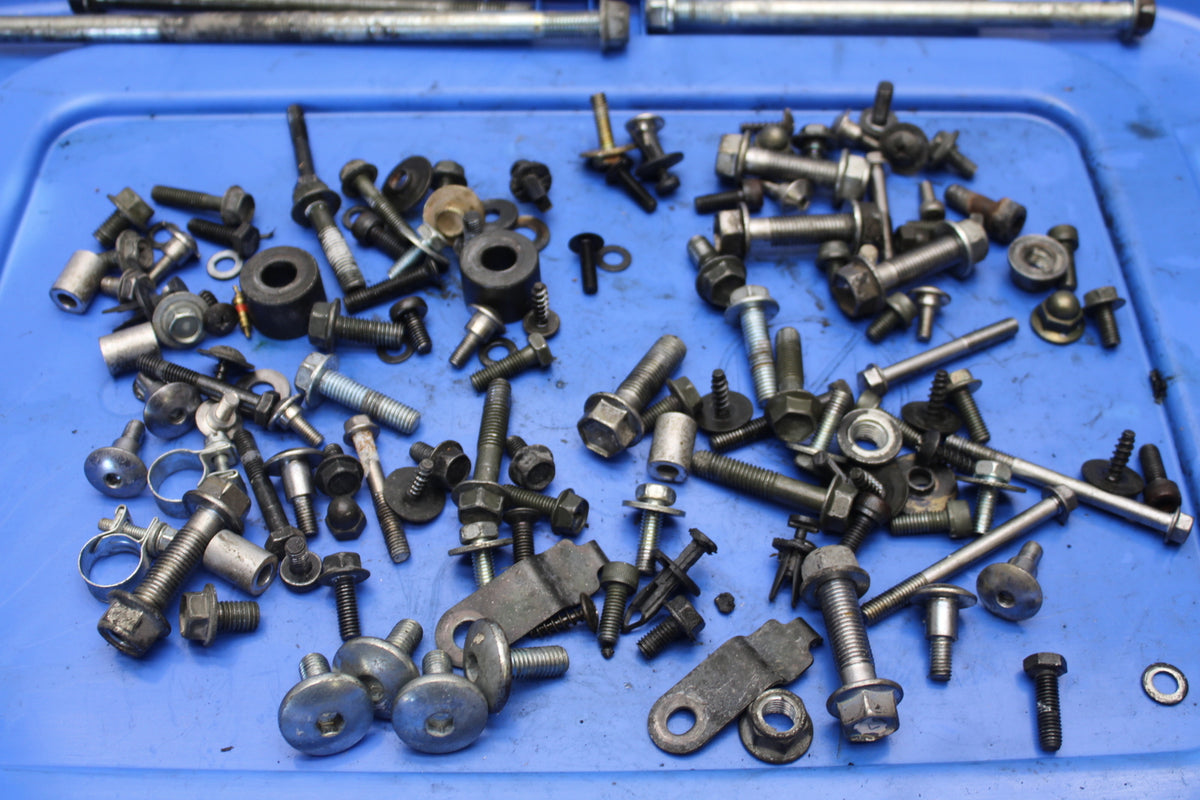 04-09 SUZUKI GS500F MOUNTING BOLTS HARDWARE MOTOR SCREWS BB165