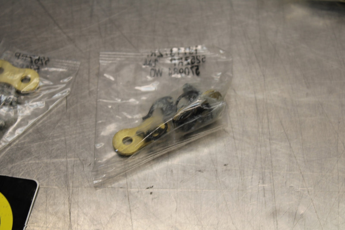 REGINA NEW!! 96 LINK 525 MAIN DRIVE CHAIN BB876 