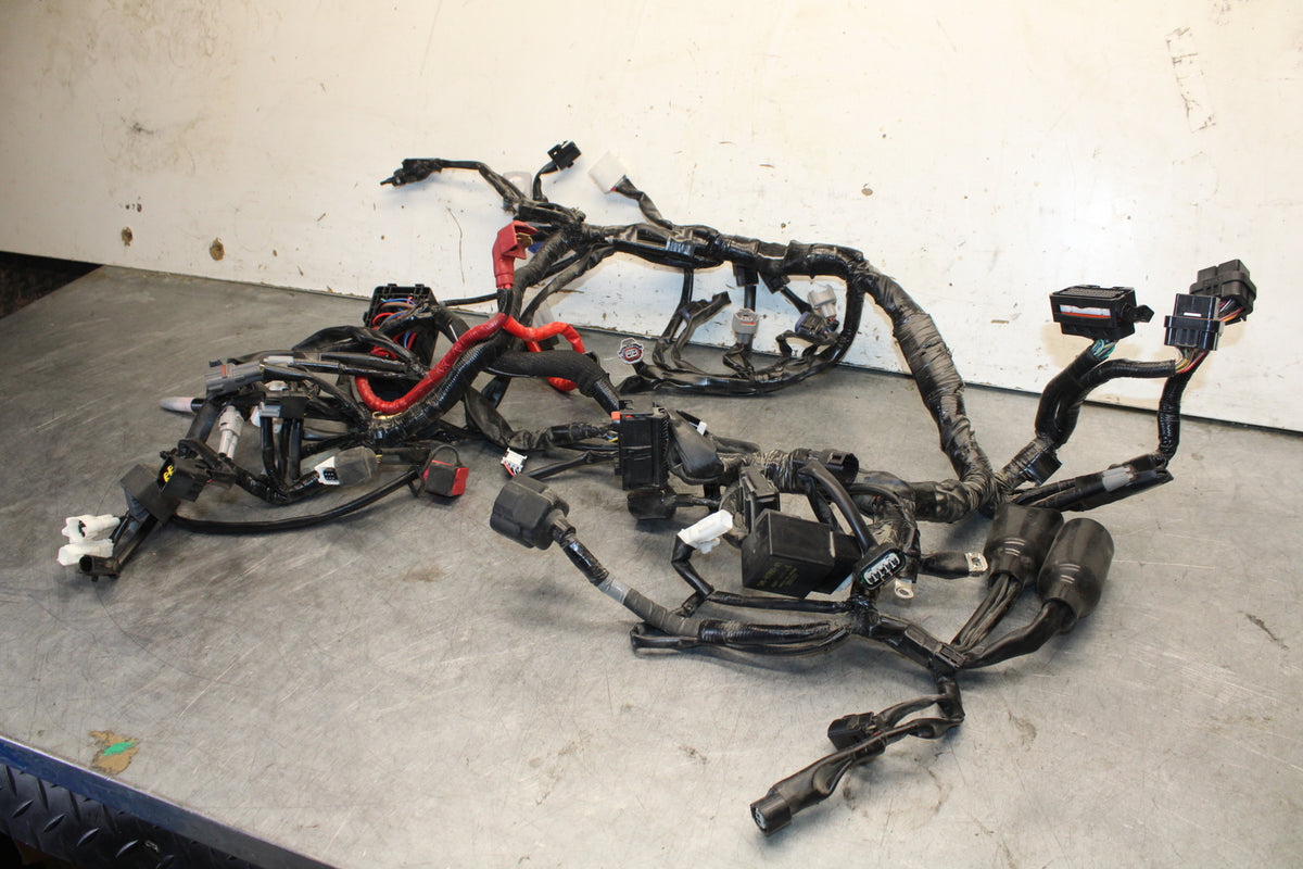 22-24 YAMAHA XSR900 MAIN ENGINE WIRING HARNESS MOTOR WIRE LOOM   BB683