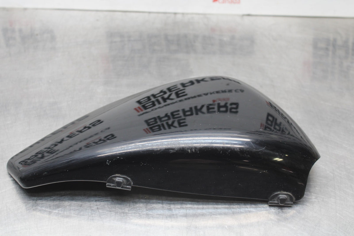 07 HARLEY-DAVIDSON SPORTSTER 1200 CUSTOM XL1200C LEFT SIDE COVER PANEL BB833