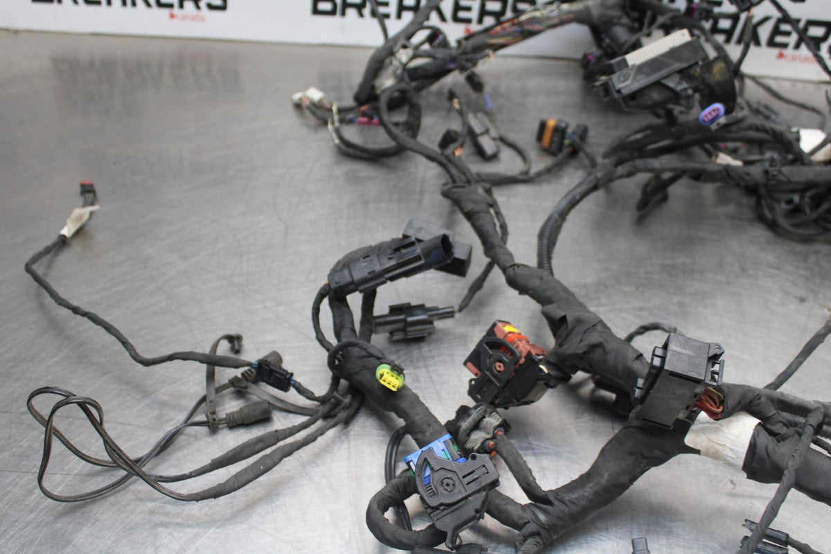 22 HARLEY-DAVIDSON PAN AMERICA 1250 MAIN WIRING HARNESS & MOTOR WIRE LOOM BB910