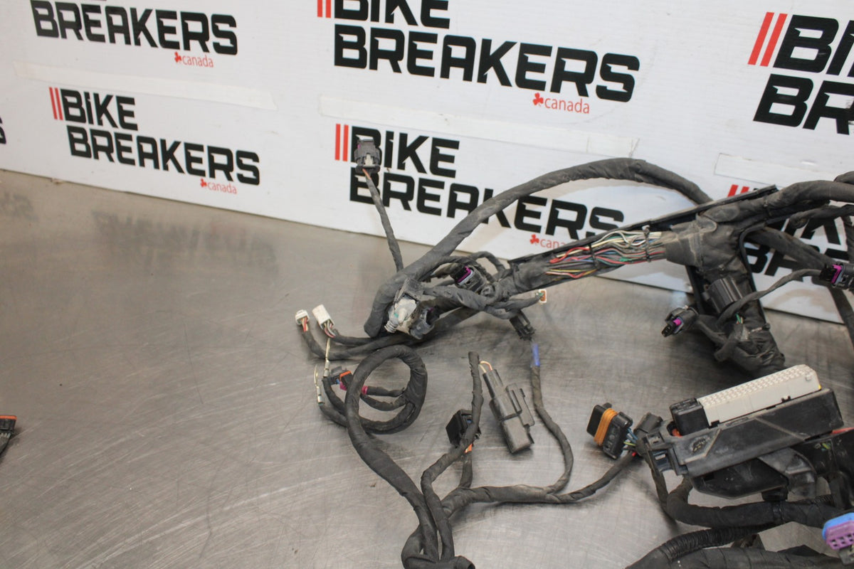 22 HARLEY-DAVIDSON PAN AMERICA 1250 MAIN WIRING HARNESS & MOTOR WIRE LOOM BB910